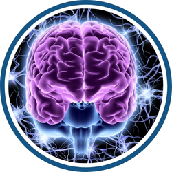 Disfunciones de la Vejiga Asociadas a Padecimientos Neurológicos (daños en el sistema nervioso) tales como: Incontinencia Urinaria, Dificultad para Orinar o Sensación de no Vaciar Completamente la Vejiga. También conocido como Neuro-Urología.